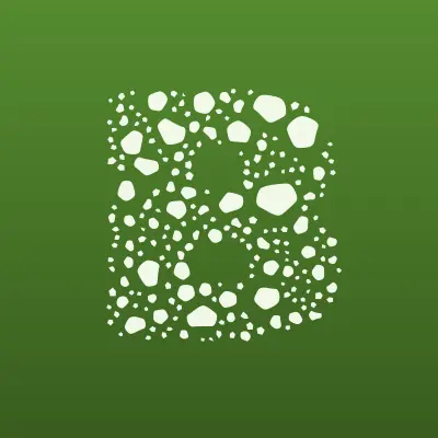 BetBoom, лого-визитка