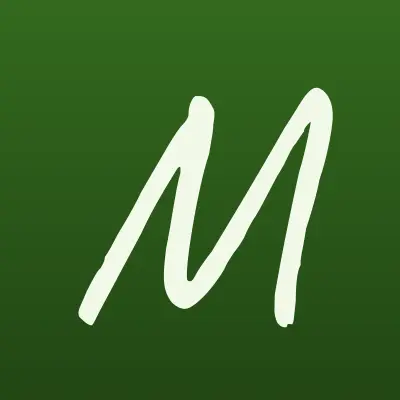 Максимальная мощность, торгово-монтажная фирма, лого-визитка