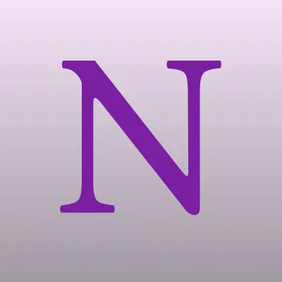 NSP, торговая компания, лого-визитка