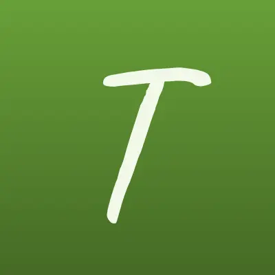 Taiget, компания, лого-визитка