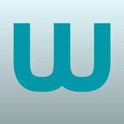 Wildberries, интернет-магазин, лого-визитка